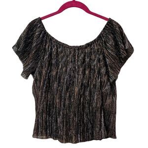 ZARA Off The Shoulder Metallic Top